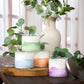 Pier 1 Spa Collection Rosemary & Mint Filled 3-Wick Candle